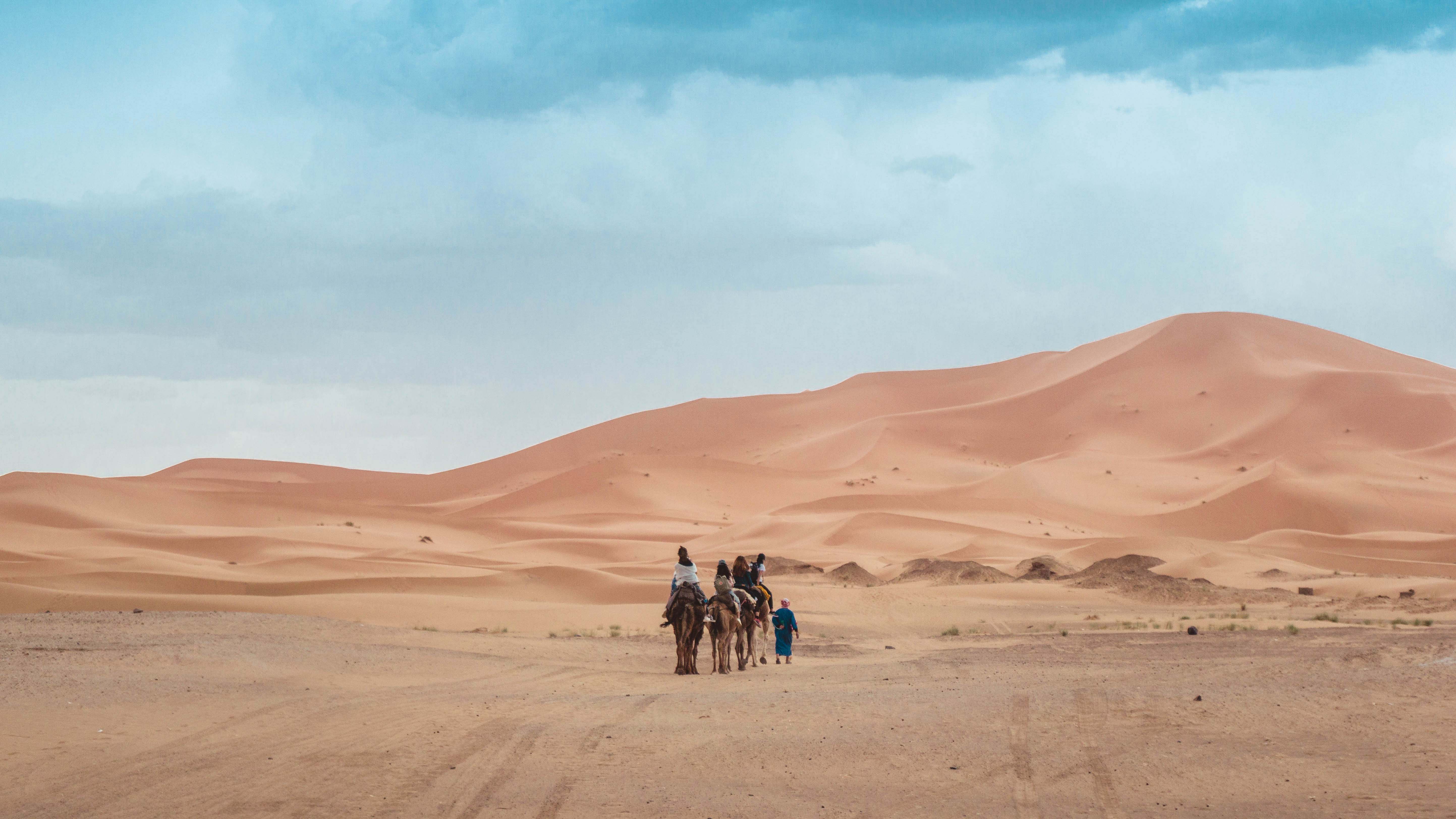 Desert Person Riding On Camel Across The Desert Sand Image Free Photo